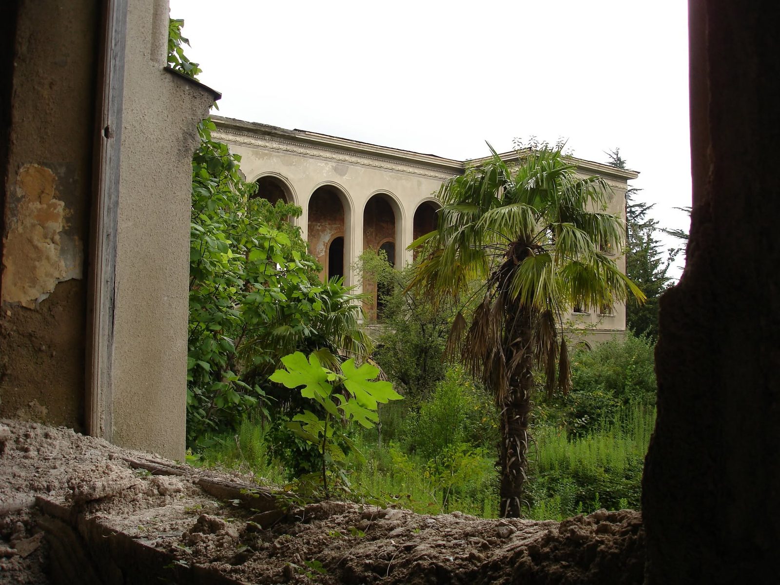 A view through an opening: a palm tree and a building with an arcade.