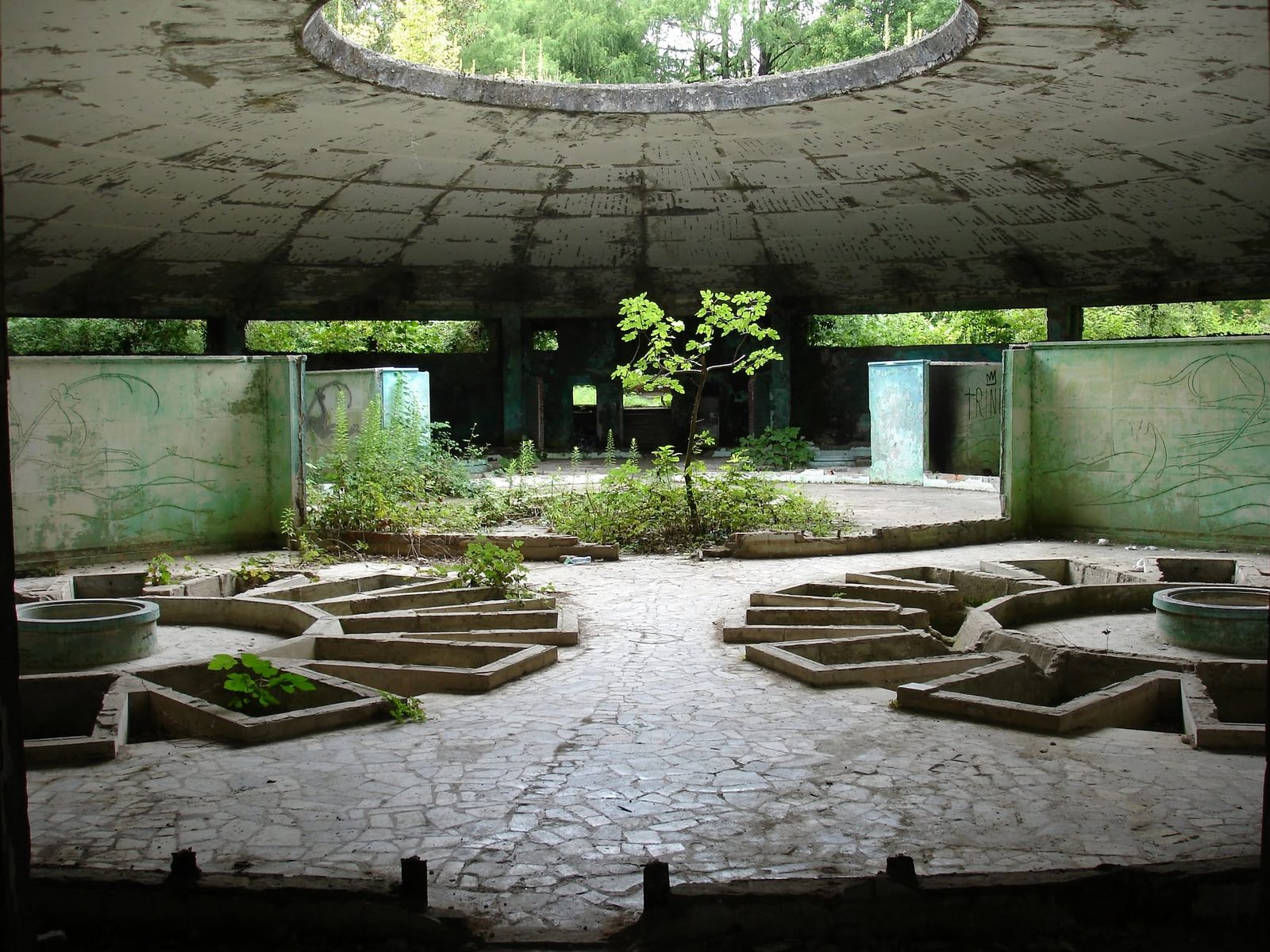 A round hall with water basins and a small tree in the middle.