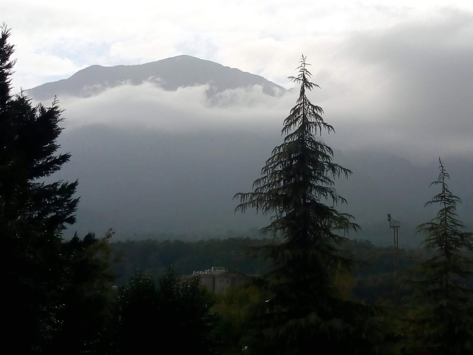 Evening clouds sink toward the slope, with a dark fir in the foreground.